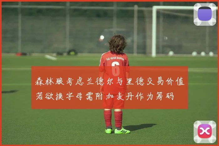 森林狼考虑兰德尔与里德交易价值若欲换字母需附加麦丹作为筹码